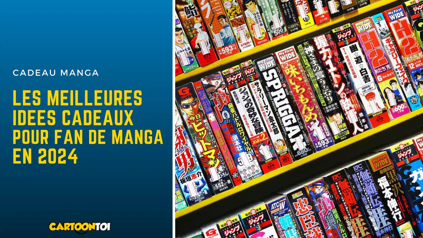 12 Idées Cadeaux Manga pour TOUS les BUDGETS